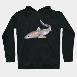 Cozy Blacktip Reef Shark Hoodie